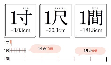 尺 寸 cm